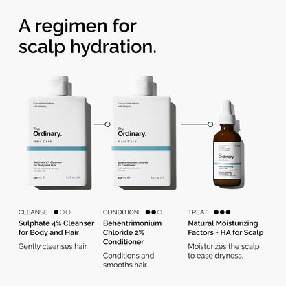 Natural Moisturizing Factors + HA for Scalp